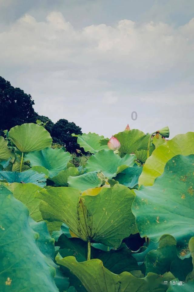 仙剑奇侠传2